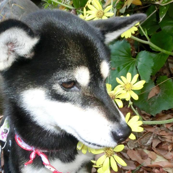 2ede52c2 3945 4b2d 92b6 942e3bedcec4