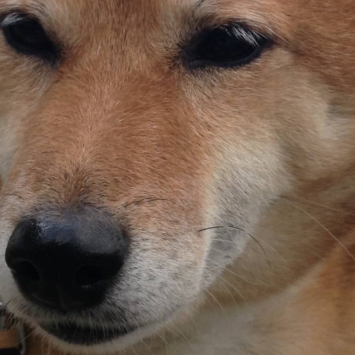 2ede7d65 00b9 44a2 b4dd e3bfeb94446c