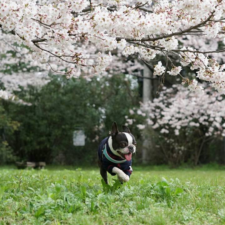 2edec4a8 627c 44bc b7cf d87d9a1c270c