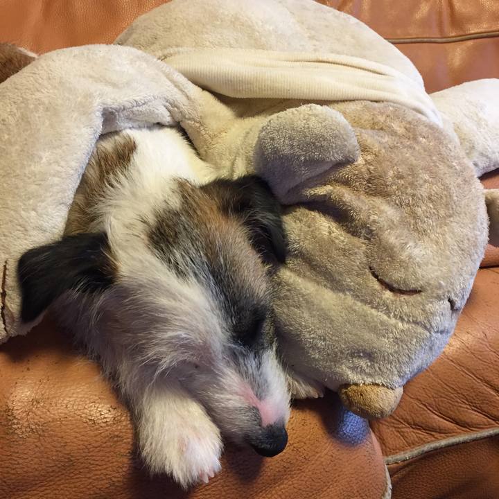 2edf1eef 4411 4ff9 9fbc 02c093b32196