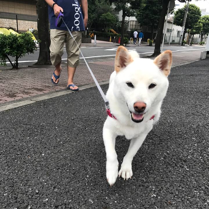 2edf49a4 fb0c 4350 9af5 9abe8e05c348