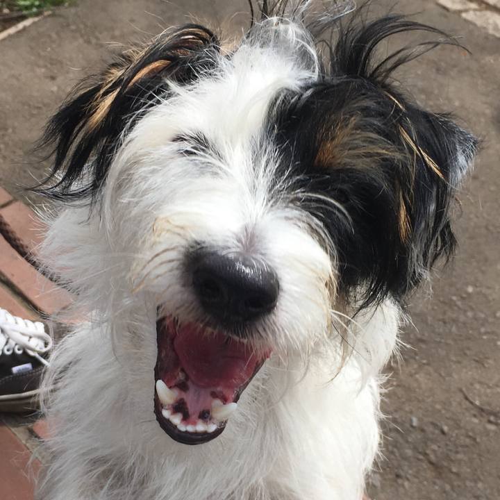 2edfe3ea 9624 4ed3 842b 7dd63411b79b