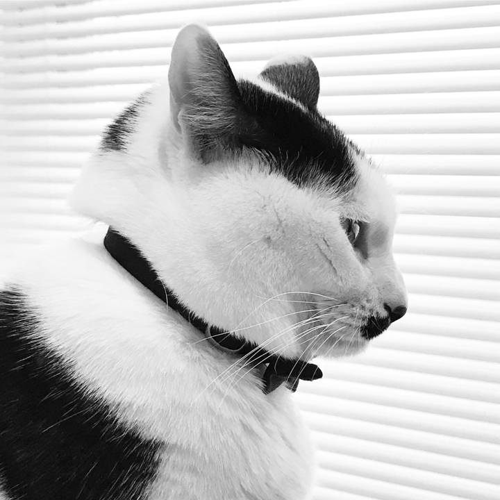 2ee0523a 1039 4c05 b51a cc321cd2735e