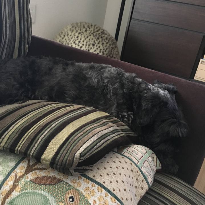 2ee0821b f373 4e0a 9a90 802e25831e2f