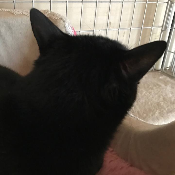 2ee0849e 9257 4ab3 8771 0fc62f820547