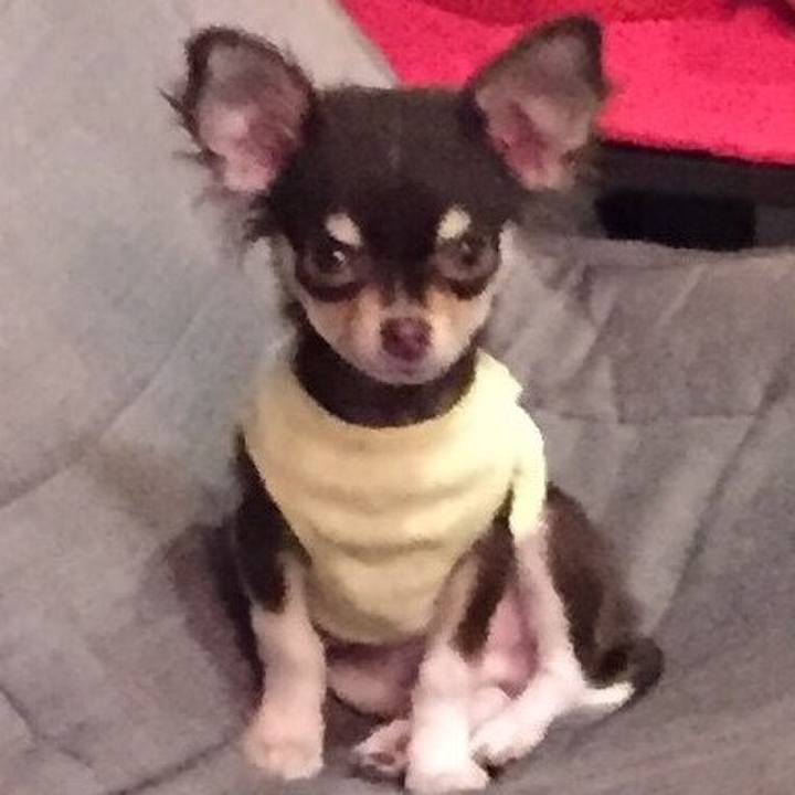 2ee1c1ee 2306 415e 8f1f 18e70e119746