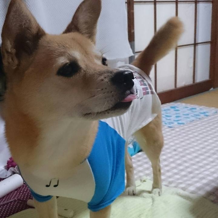 2ee224c4 5a2b 4519 9f8f 4c44f63419da