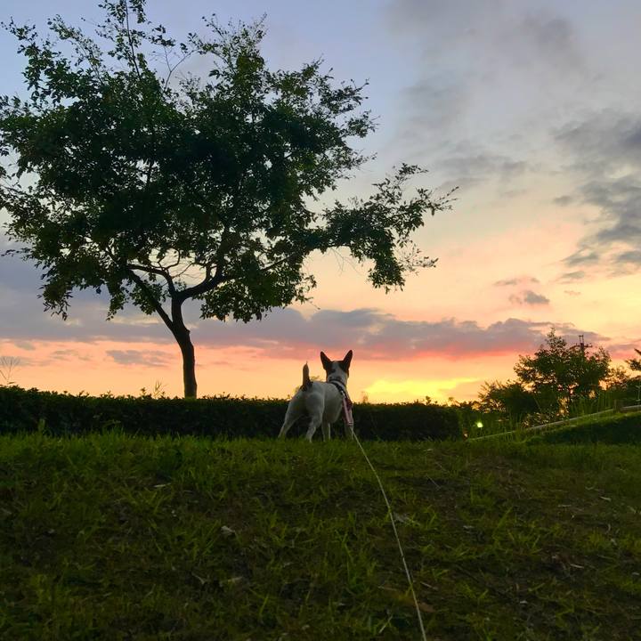 2ee2a9a5 4af4 4dba bd9d 13af80cc63d9