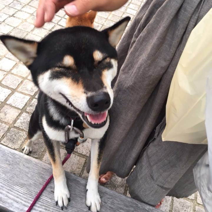 2ee2bb5d 119e 42ae 9329 41265d08ed8d