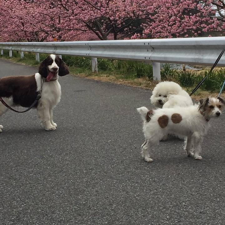 2ee2bc86 f743 4074 9084 ffad5f720c62