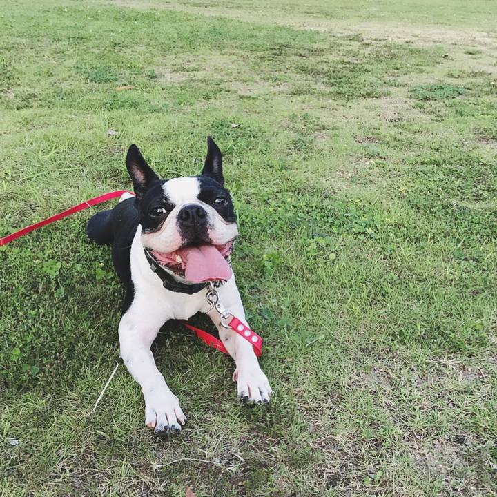 2ee33fd6 182c 4abd 9cf1 ffbdaa7c5b1a