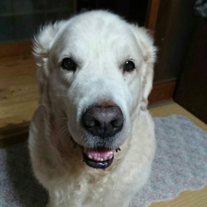 2ee3ab26 db69 46d5 9595 c606e5a2e366