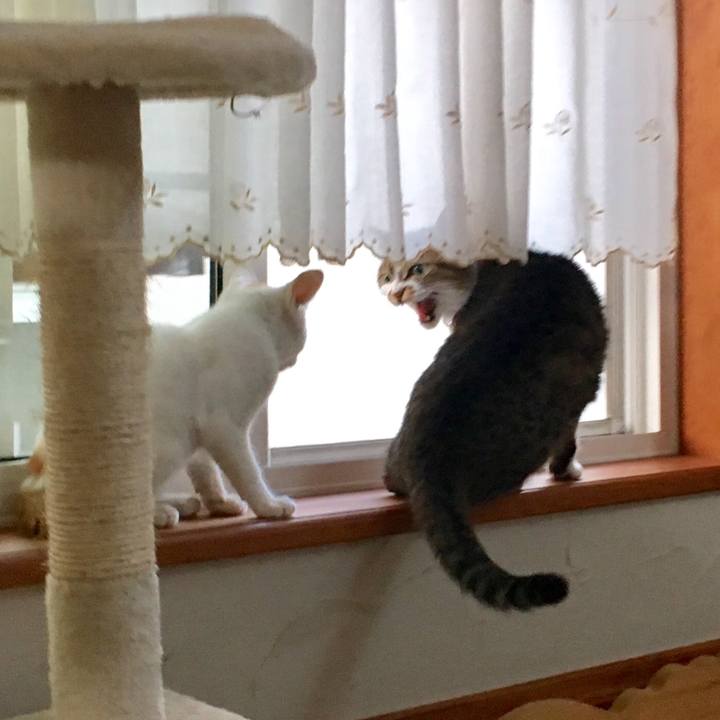 2ee48564 d356 4a3f b5f0 8b7918c9c99b