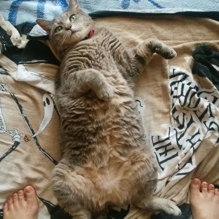 2ee4d7ee b896 459b 82b9 00d437d01374