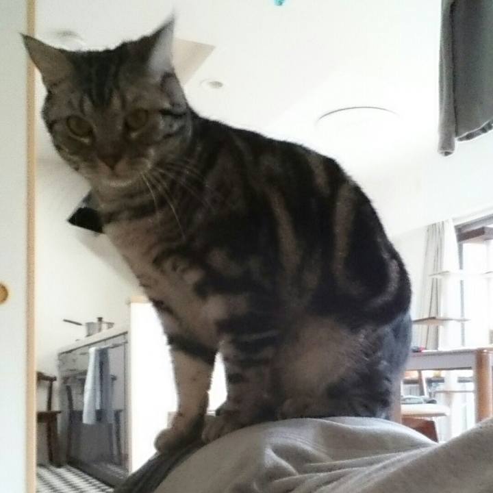 2ee4ef23 2474 4ff5 bf38 2af7ca06fe17