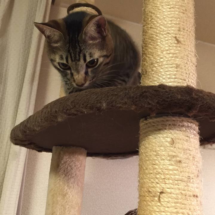 2ee4f706 d7c0 481c 8a03 154a1c2a5e26