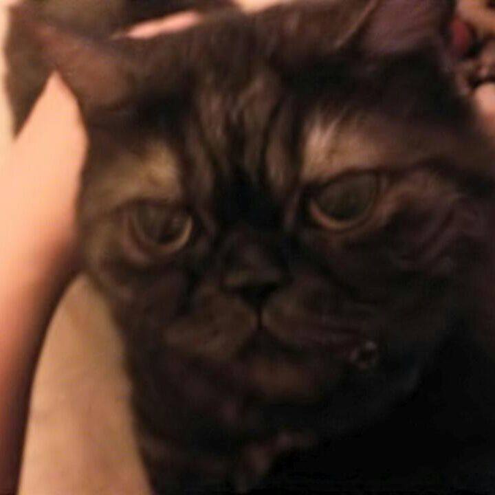 2ee5a7dd ffa6 468f 8dcb 67ca201f975d