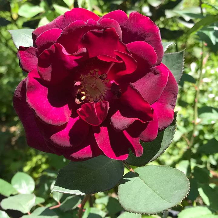 2ee5f620 5116 4953 9a54 b34a8a3d7108