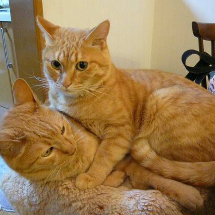 2ee69433 b1f5 4701 b0db 42c77d1de5cd