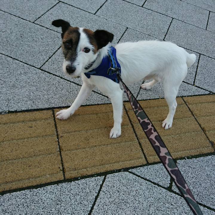 2ee713c2 16e3 49b0 a066 dc2fd797e408