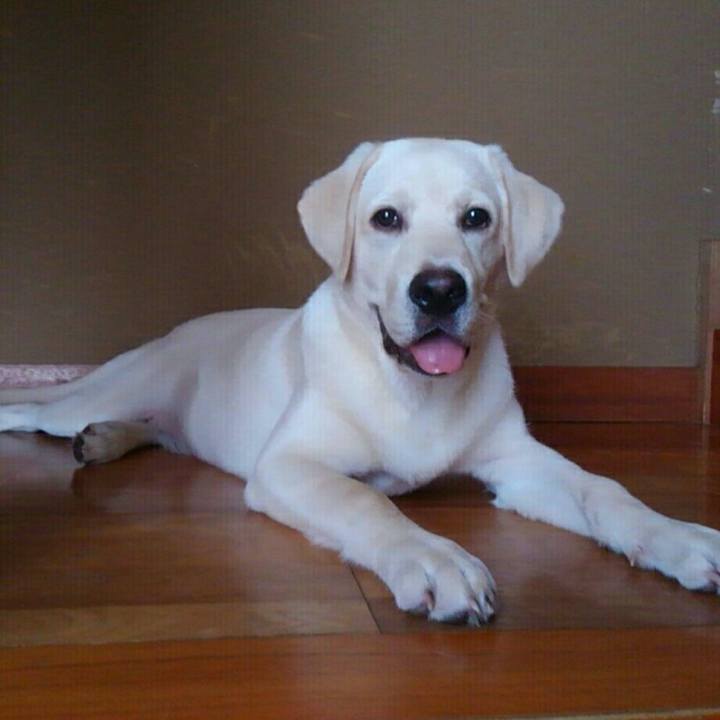 2ee78026 dd4c 4827 bff7 ce19d7d95b85