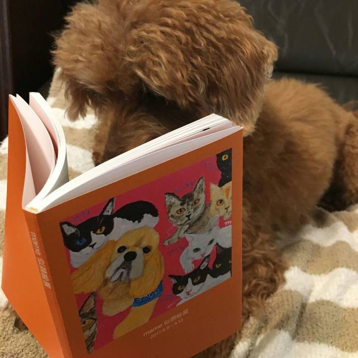 2ee89f9a c5fa 43a7 8c9d d4fe947fe9ed