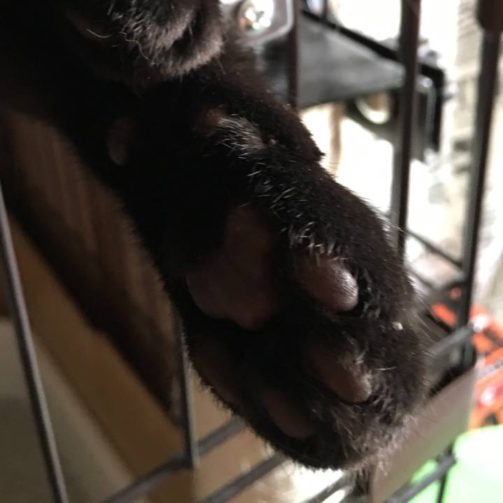 2ee8e776 c99f 4b75 9421 c9a867e54b4f