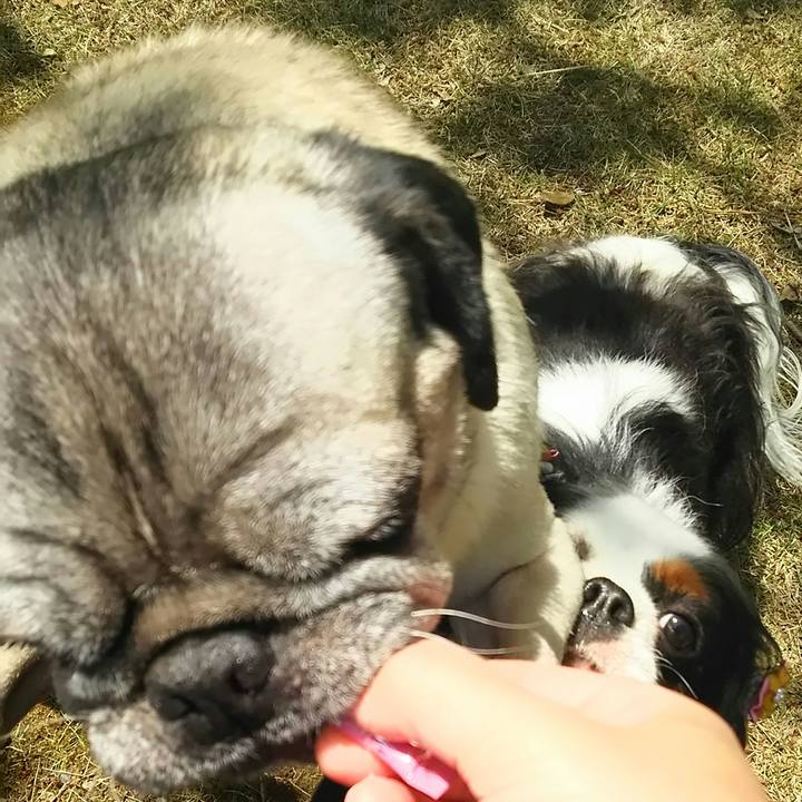 2ee9e030 2ddb 4b46 baee 857a37f151d9