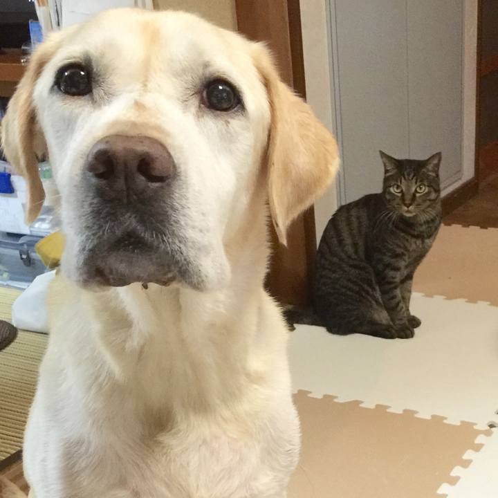 2eea1d8d 1ff5 4355 a209 d636d1ce90ee