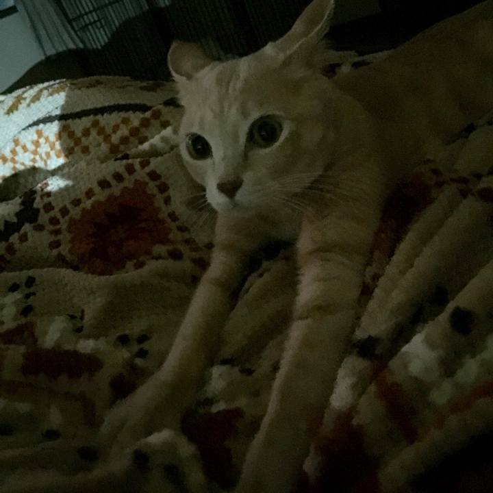 2eea5a9a 957f 4e8e 9b63 e49fa4defbd5