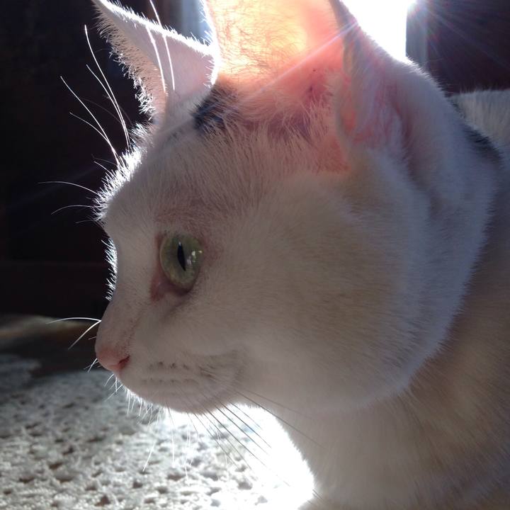 2eea7540 a83b 455a a978 8cf1ffe20100