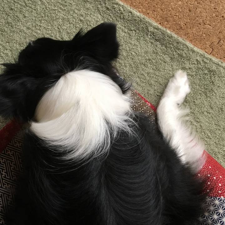 2eeaddf0 67f0 407d 97a3 d82b24ec59be