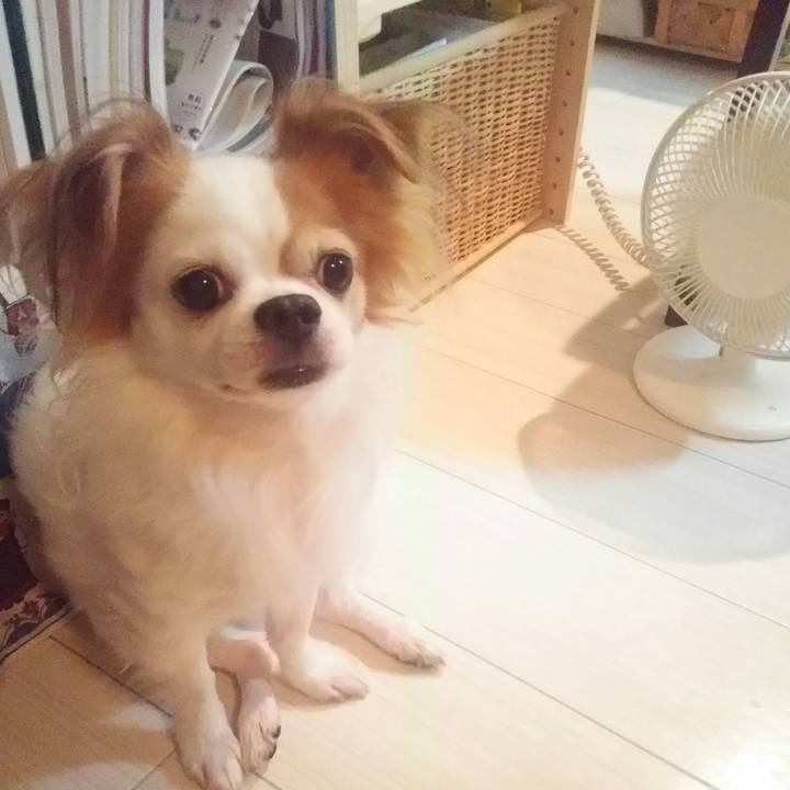 2eeaed32 2172 4437 b1d0 6d7f31ae3637