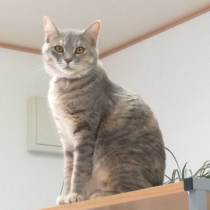 2eeb4cc7 056f 4602 b91e bb135b9aa89c