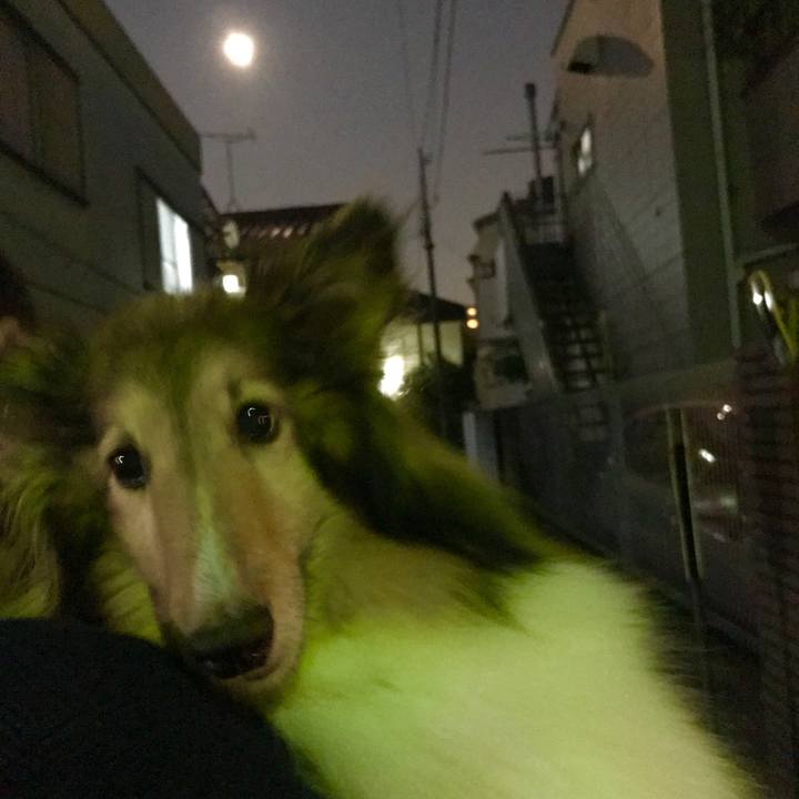 2eecd9f7 a0fc 40b2 8dda 3d47dbabf99e