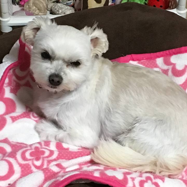 2eed4b7f 5184 4205 8191 d61d48a30f89