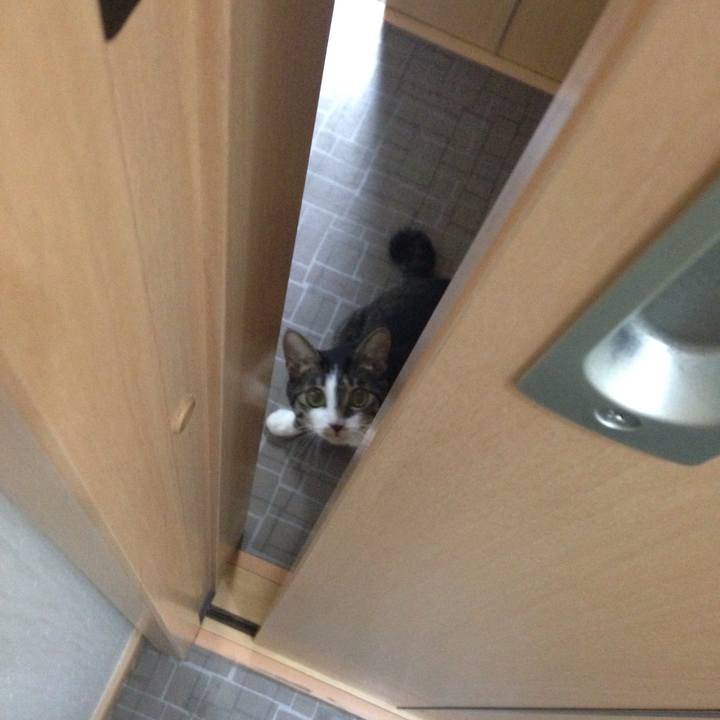 2eed9026 19f4 4acb 8930 144bfb886068