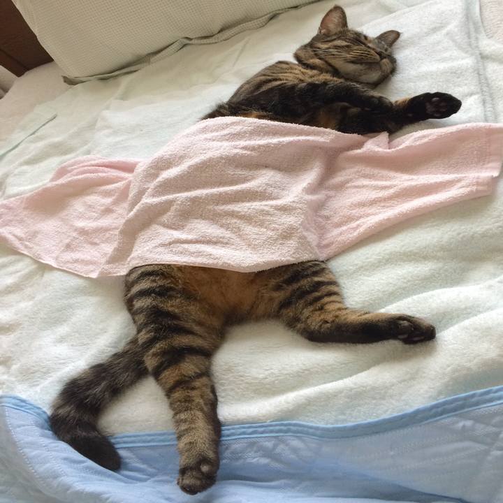 2eedf6cd 88c6 45b5 b110 8482047365c4