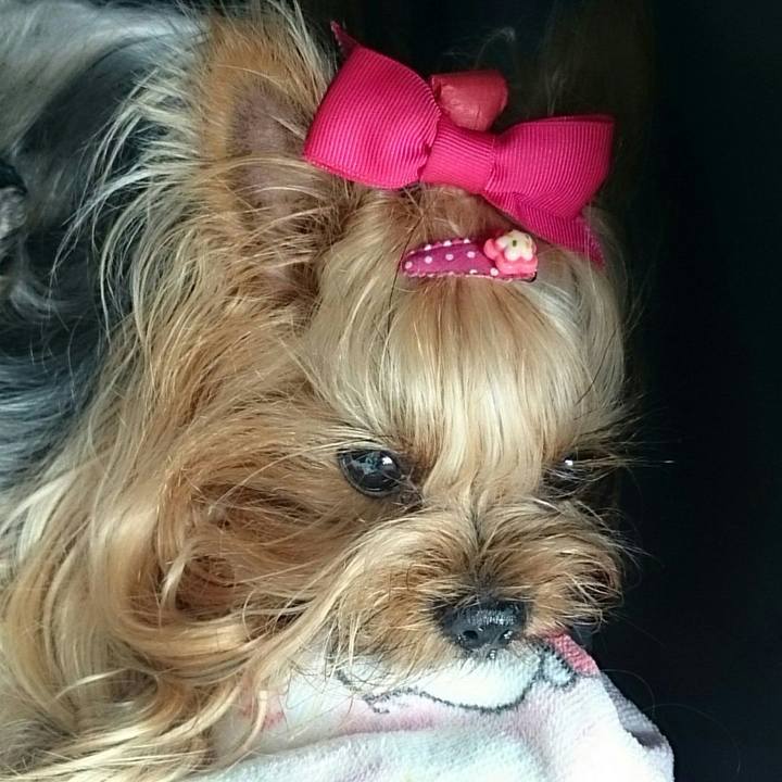 2eee2481 b89d 4195 b57f 52756d87a27a