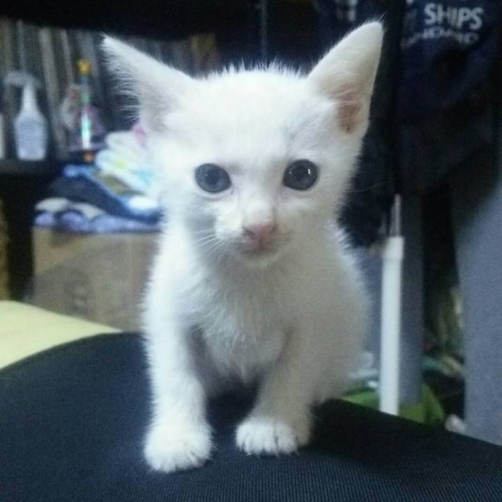 2eee8339 a0ff 4021 af36 8ac90217abfe