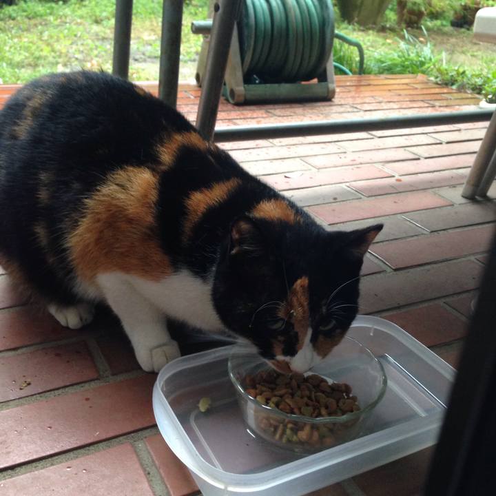 2eeea801 c240 446c b440 9665753e5dd7