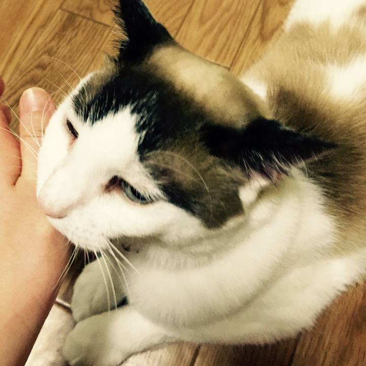 2ef0a01b 72a8 4957 9620 f01d789352e3