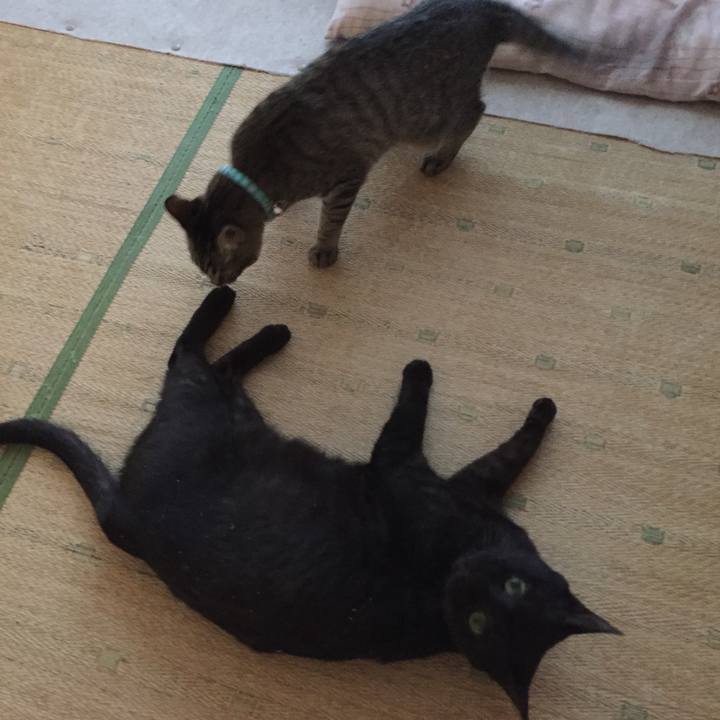 2ef0cec5 0594 4209 b7e0 86ebbd051377