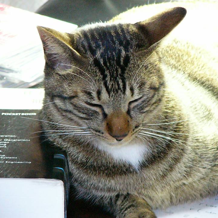 2ef0d7dc fd36 4f37 b80b fd74410260c7