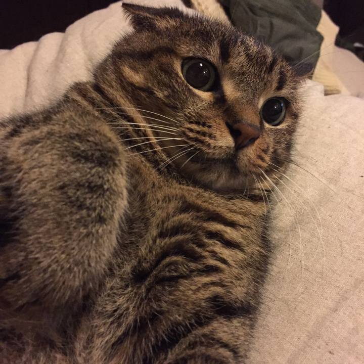 2ef1104b d942 41f5 9ad8 2e0314d91ea4