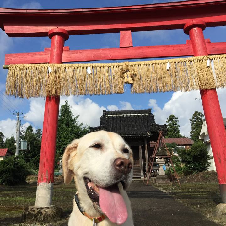 2ef11d1d 155d 4da6 bbcd e8ab33602b9d