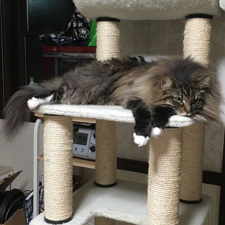 2ef175c8 1c8d 467e ba26 242be9ed8e43