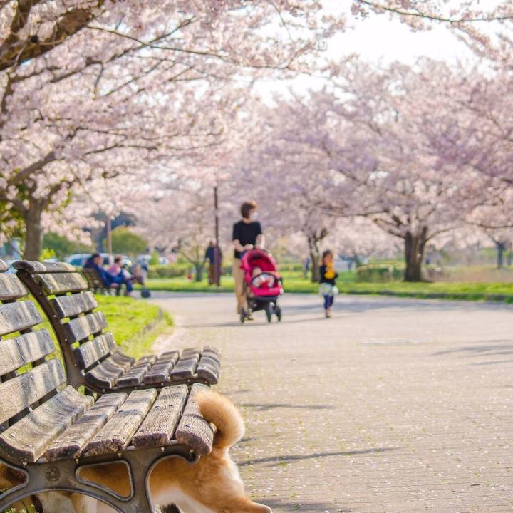 2ef1d497 d8d5 43f0 94dc 6c9363a088ee