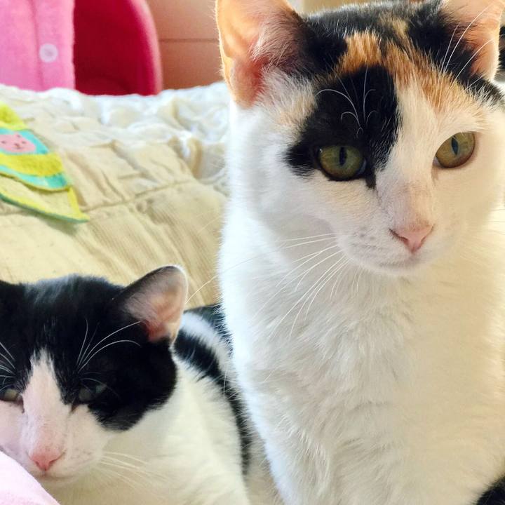 2ef20602 f70e 4746 b9e0 38b11e92fb10