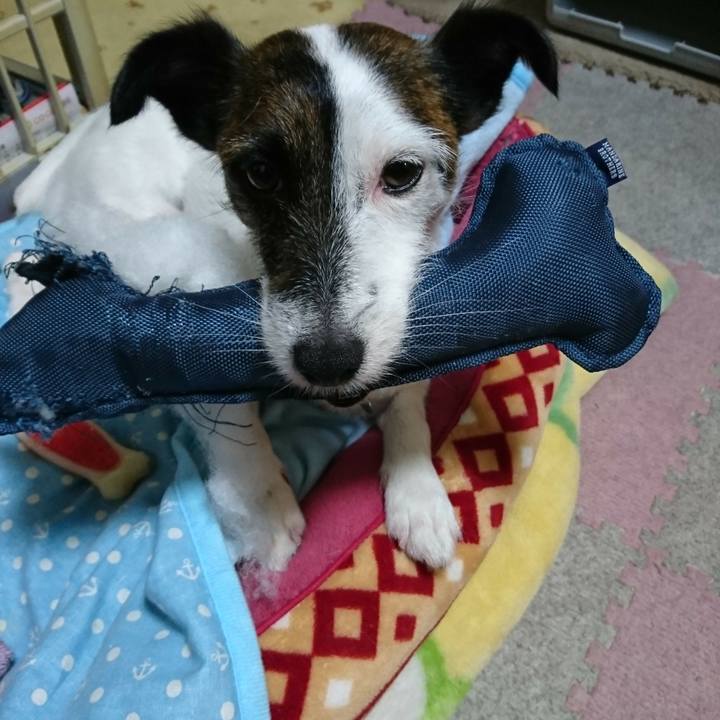 2ef24e39 1ea7 4a66 8fd3 03ddda49f273